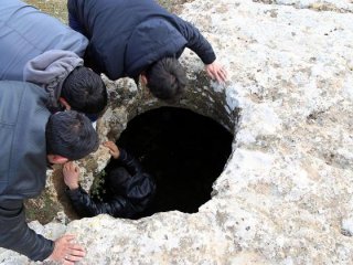 Türkiye'nin en büyük sürüngeni ölü bulundu!