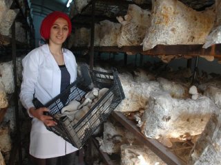 İki kadın girişimciden Türkiye'de bir ilk!