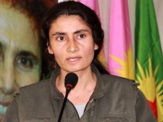 İhraç edilen akademisyenler talimatı PKK'dan aldı!