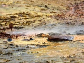 Çanakkale'de ürküten görüntü!