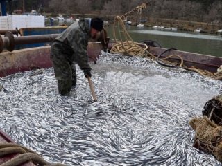 3 bin kasayla döndüler!