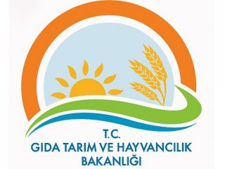 Bakanlıktan "ÖLÜ HAYVAN" açıklaması