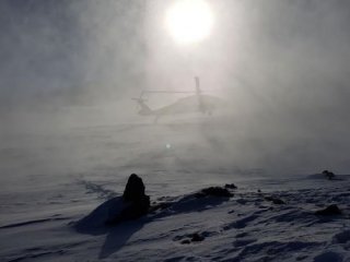 Mehmetçik havadan indi, imha etti