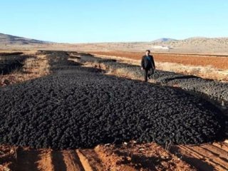 TÜBİTAK'ın açıkladığı sonuçlar dehşete düşürdü!