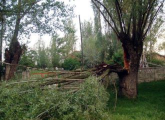 Düşen yıldırım Bitlis’te 2 can aldı