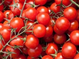 Türkiye'nin hamlesine Rusya'dan karşılık geldi.