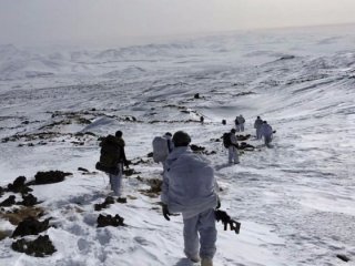 Teröre baskı stratejisi