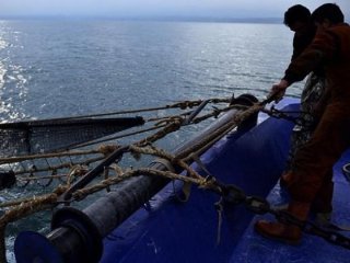 Karadeniz'de hamsi sezonu kapandı