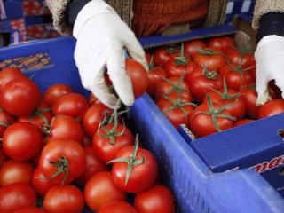 Rus ajansı duyurdu: Hepsini imha ettik