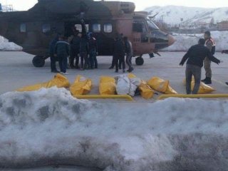 Bitlis'te 20 terörist öldürüldü