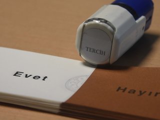 Referandumda bunu yapan yandı!