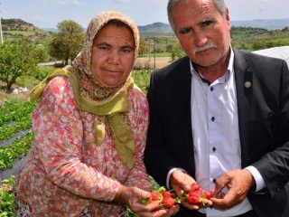 3 çiftçi yüzlerce kişinin kaderini değiştirdi