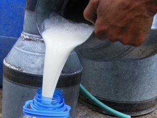 Sütçüden ByLock çıktı! Savunması şaşırttı