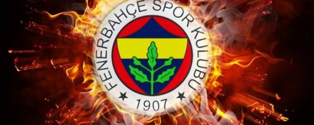F.Bahçeli yıldızdan Dick Advocaat'a sitem!