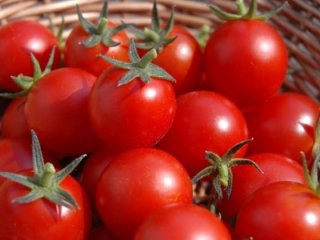 İşte domatesin ucuzlayacağı tarih