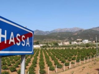 Polis ve jandarma yanlışlıkla çatıştı: 1 şehit