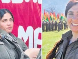 PKK şokta! Öldürüldüler...