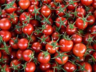 Domates yasağındaki kısıtlamalar ne zaman kalacak?