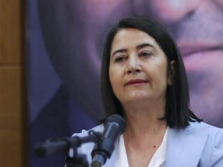 HDP'nin yeni eş genel başkanı belli oldu