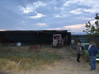 Satışa hazır 5 ton domuz eti ele geçirildi