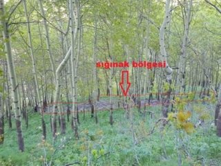 Asker önce işaretledi sonra imha etti!