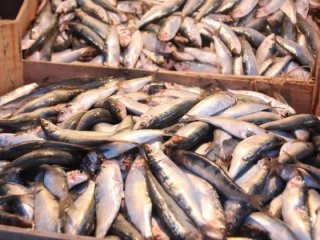 Ramazanla birlikte fiyatlar yüzde 50 düştü!