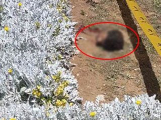 İşte Humeyni'nin türbesine saldıran canlı bomba