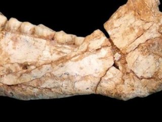 Böylesine ilk defa rastladılar! Sil baştan