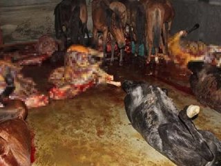 At kasaplarından pes artık dedirten savunma