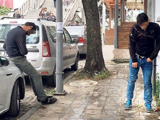 Tarım ilacından bonzai