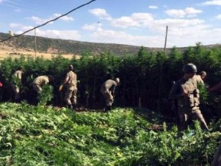 10 bin asker orada! Didik didik arıyorlar