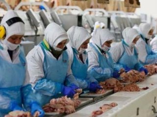 Pilicin budundan çok ayağı ihraç ediliyor