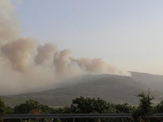 Bir ilimizde daha orman yangını!