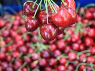 'Türk kirazı'nı en çok onlar tüketiyor