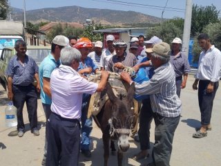 CHP'nin İzmiri'nde eşek sırtında su taşıyorlar