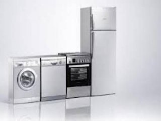 Vestel beyaz eşya şirketinde hisse satacak