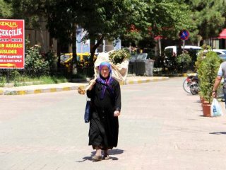 Kesilen ağacı omuzlayıp belediyenin yolunu tuttu