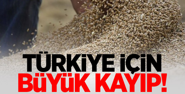 Türkiye için büyük kayıp!