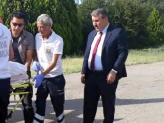 BBP lideri Destici'nin annesi yoğun bakımda