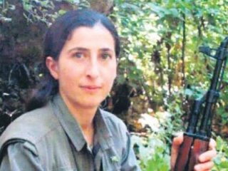 Sur'u kana bulayacak teröristi ABD eğitmiş