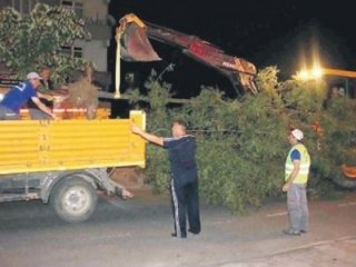 Yine CHP’li belediye yine ağaç katliamı