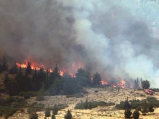 Ormanı PKK yakıyor