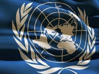 BM’den Türkiye'ye küstah çağrı!