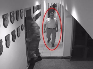 Resmen dalga geçiyorlar! Hayvan belgeseli çekmeye gitmiş