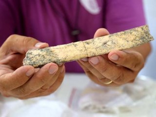 Antalya'da bulundu! Tam 350 bin yıllık...