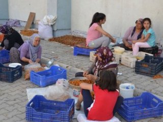 Patik dönemi başladı