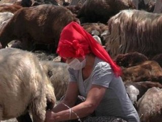 Bakanlık desteğiyle köyde yeni hayat...