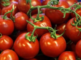 Rusya’dan domates misillemesi