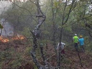 Valilik açıkladı! Meğer hepsi sahteymiş..