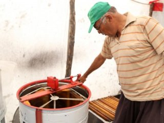 Ayçiçeği balında 20 yıldır böylesi görülmedi
